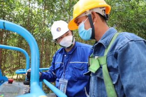 Kiểm định máy xếp dỡ tại Thuận An