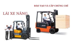 Câu Hỏi Thường Gặp Về Đào Tạo Xe Nâng